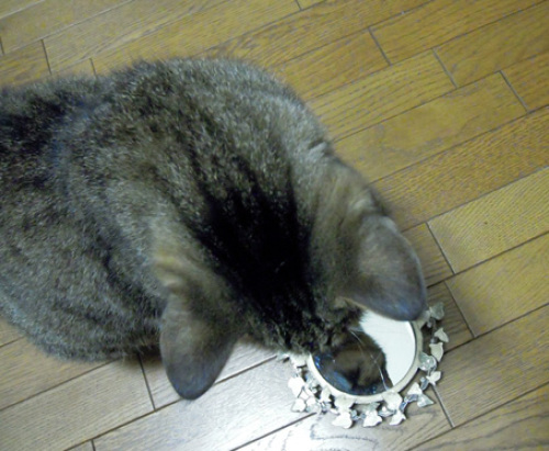 oriandmirror.jpg
