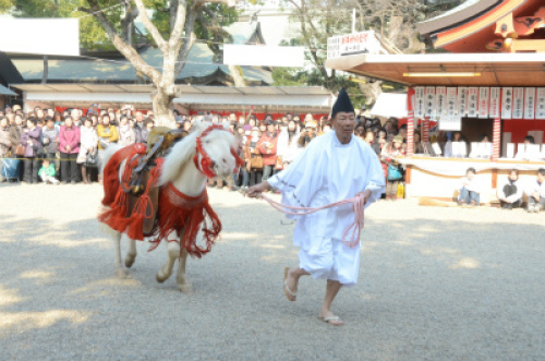 住吉神社　白馬神事.jpg