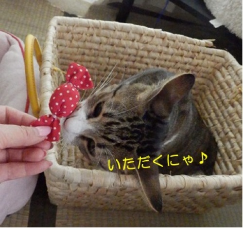 20140924_6.jpg