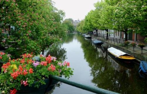 pict-ハーグ 46.jpg