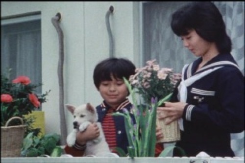 PDVD_074.jpg