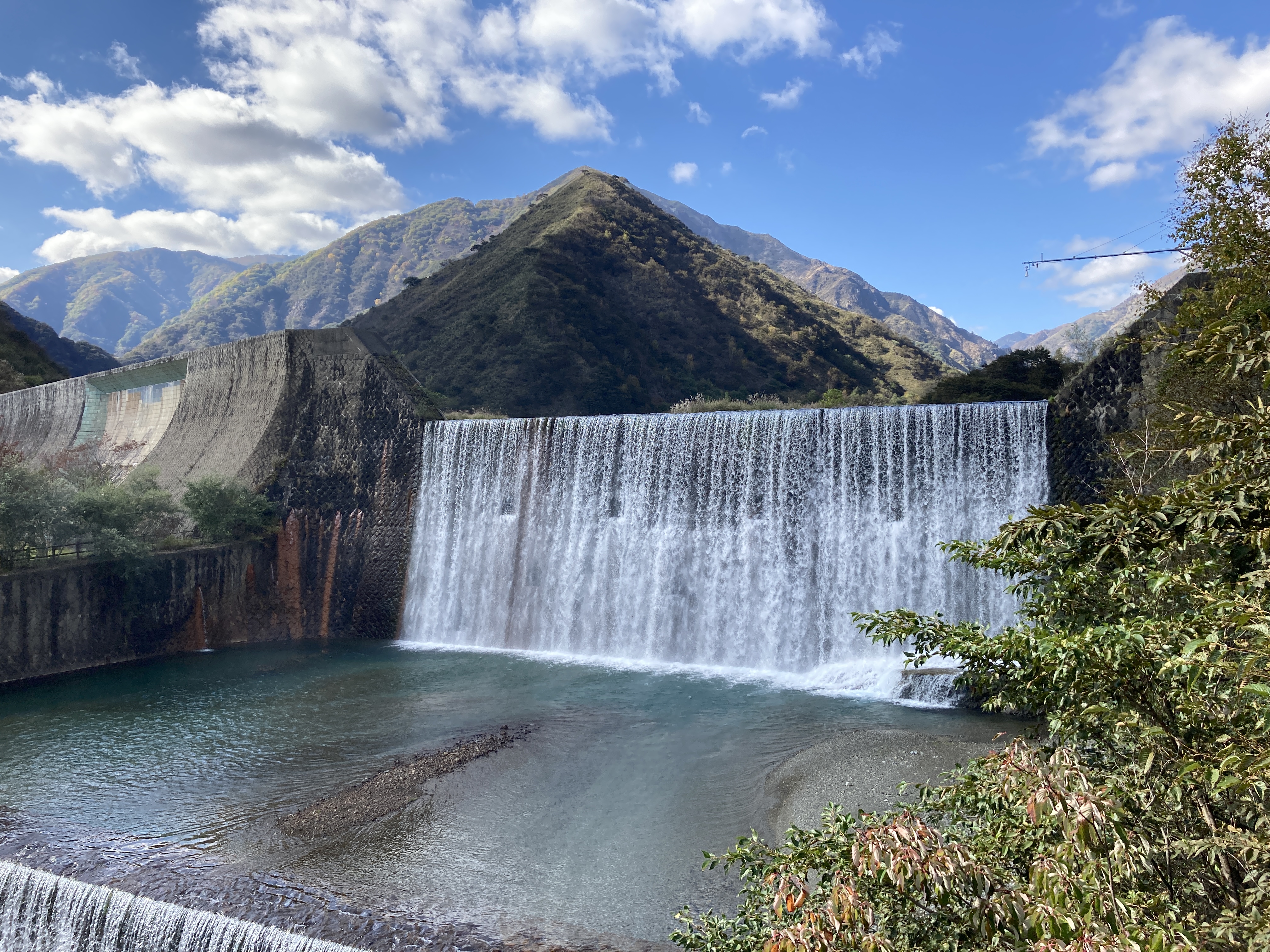 その他の栃木県 栃木の花旅 楽天ブログ