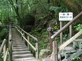 屋久島39.jpg
