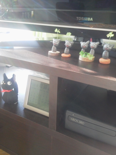 2012020810400000.jpg
