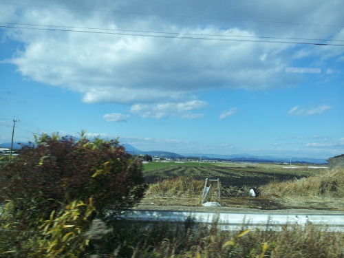 2013-12-28 13.32.10.jpg