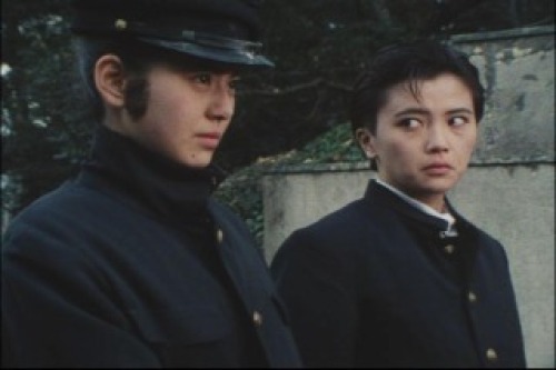 PDVD_004.jpg