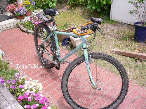 自転車.JPG