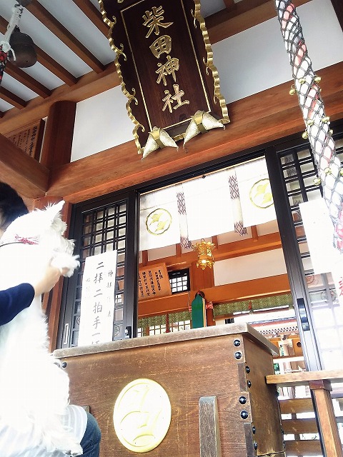 柴田神社.jpg