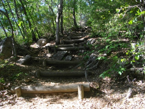 三毳山登山道 (2).JPG