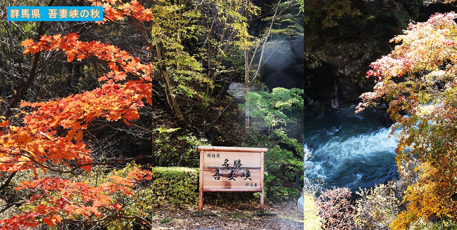 この秋最後の紅葉 吾妻峡と八ッ場ダム 群馬 としじんの つれづれ写真便り 楽天ブログ