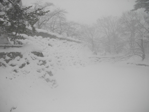 弘前城本丸空堀 (500x375).jpg