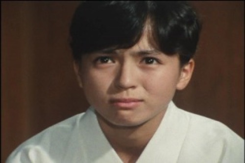 PDVD_034.jpg