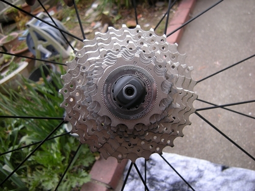 DSCN3478.JPG