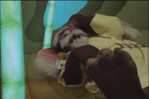 PDVD_058.jpg
