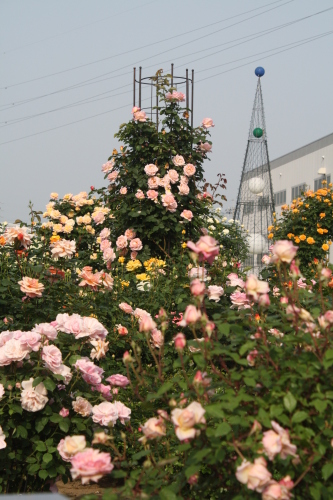 IMG_6870.JPG