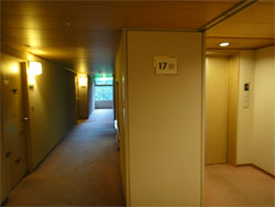 東鳳34.jpg