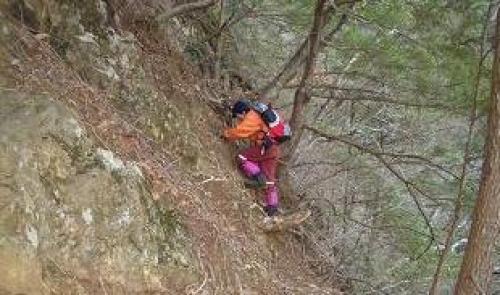 急勾配を登るかかあ