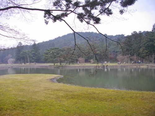 平泉毛越寺 (33) (500x375).jpg