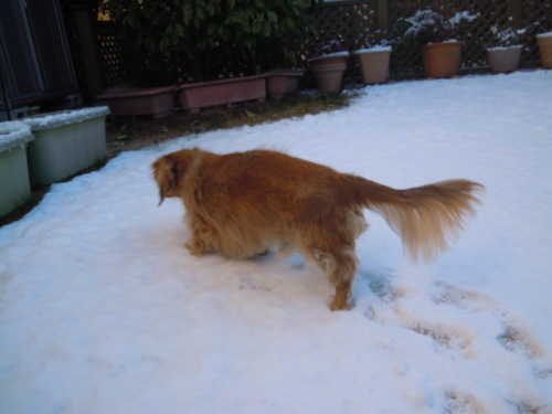 DSCN9722.JPG