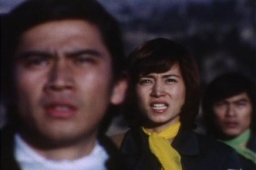 PDVD_016.jpg