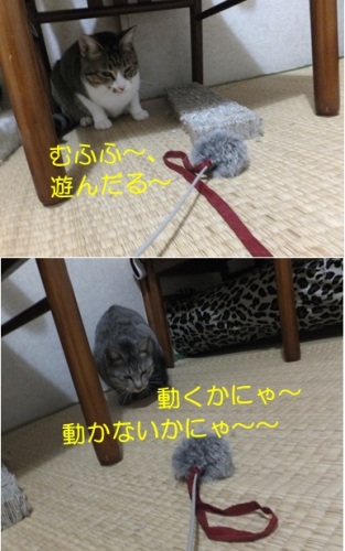 20121226_5.jpg