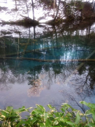 NCM_1833 (480x640).jpg