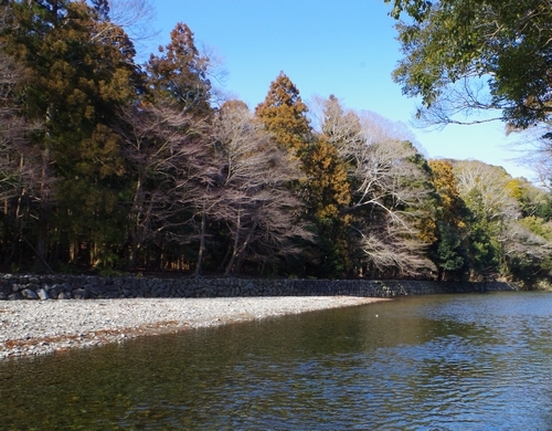 伊勢五十鈴川07ML.jpg