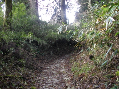 箱根外輪山旧東海道 (500x375).jpg