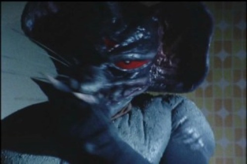 PDVD_029.jpg