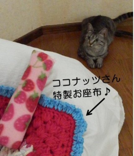 20140808_2.jpg