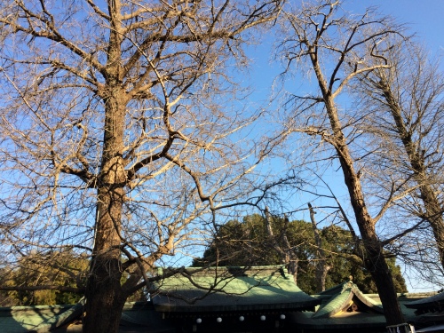 IMG_8212 - コピー.JPG