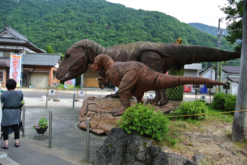 DSC_2567.JPG