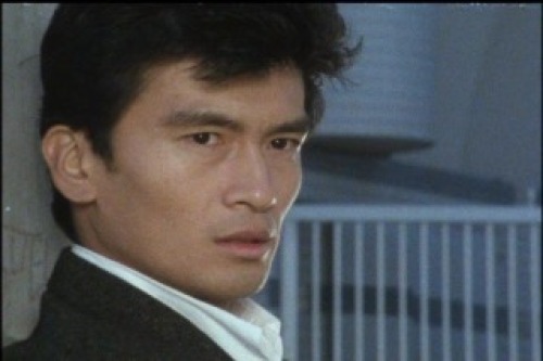 PDVD_006.jpg