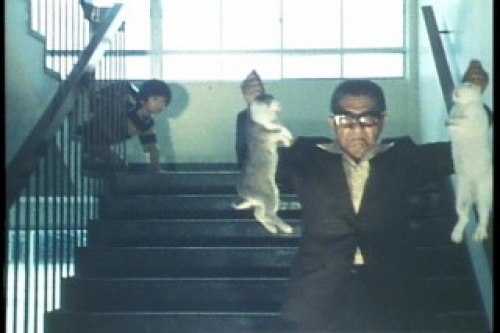 PDVD_000.jpg
