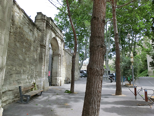 ｱｳﾞｨﾆｮﾝ