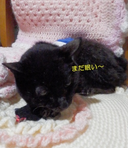 20151004_1.jpg