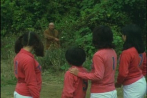 PDVD_003.jpg