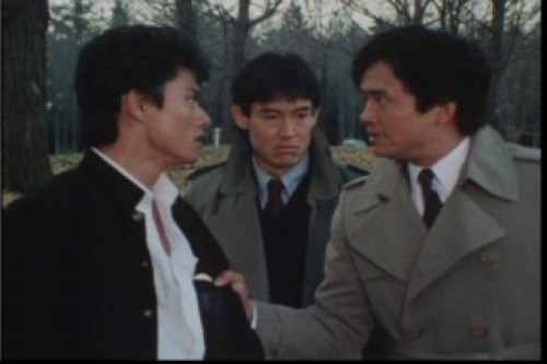 PDVD_048.jpg