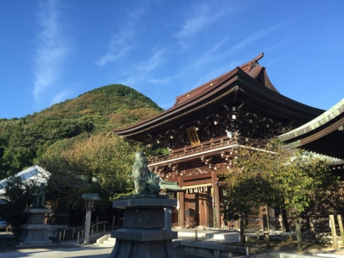 IMG_4135 (640x480).jpg