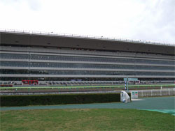 福島競馬10.jpg