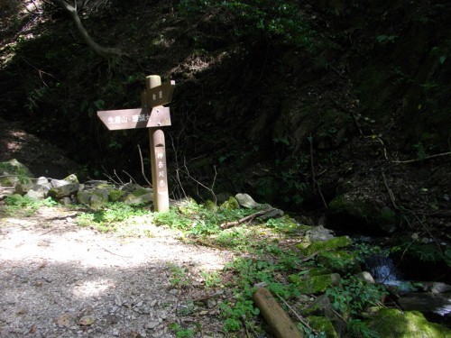 生藤山登山道 (2) (500x375).jpg