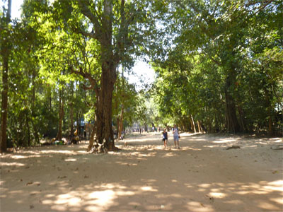 アンコール378.jpg