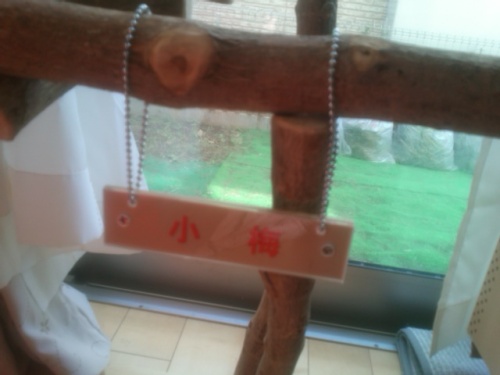 2 待ちに待った･･スタンド♪.JPG