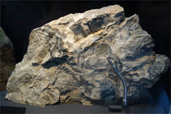 金山25.jpg