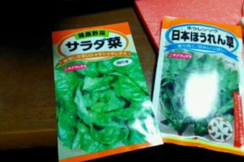 2016-11-26 18-36-48.jpg