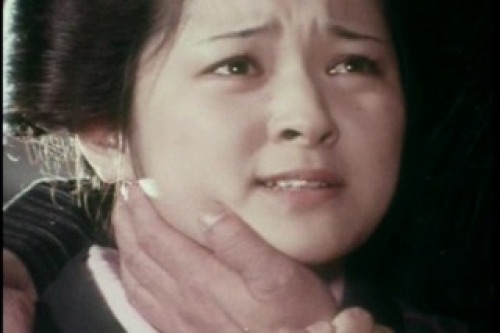 PDVD_009.jpg