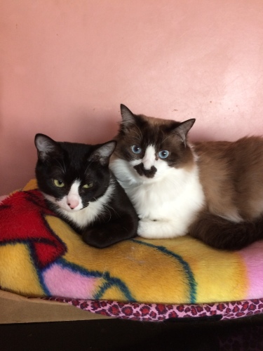 IMG_8402 - コピー.JPG