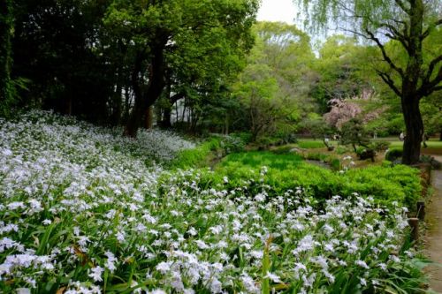 22.Apr.2017 KIYOSUMI-1.jpg