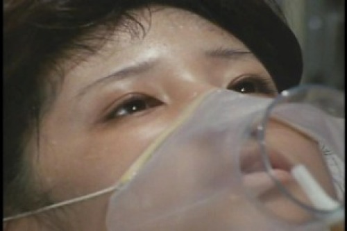PDVD_037.jpg