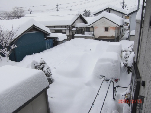 CIMG7114 (640x480).jpg